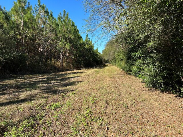 167 Plaza Dr, Enterprise, AL 36330 - photo 6