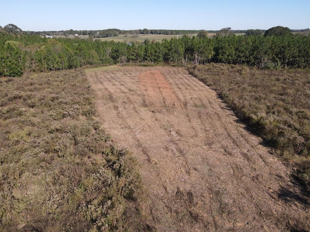 167 Plaza Dr, Enterprise, AL 36330 - photo 11