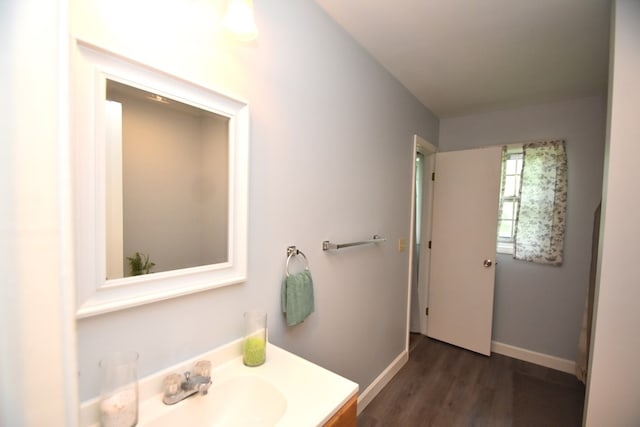 145 Deerpath St, Ozark, AL 36360 - bathroom featuring vanity and wood finished floors
