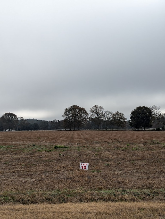 view of yard with a rural view