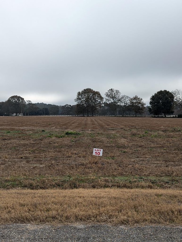 view of yard featuring a rural view