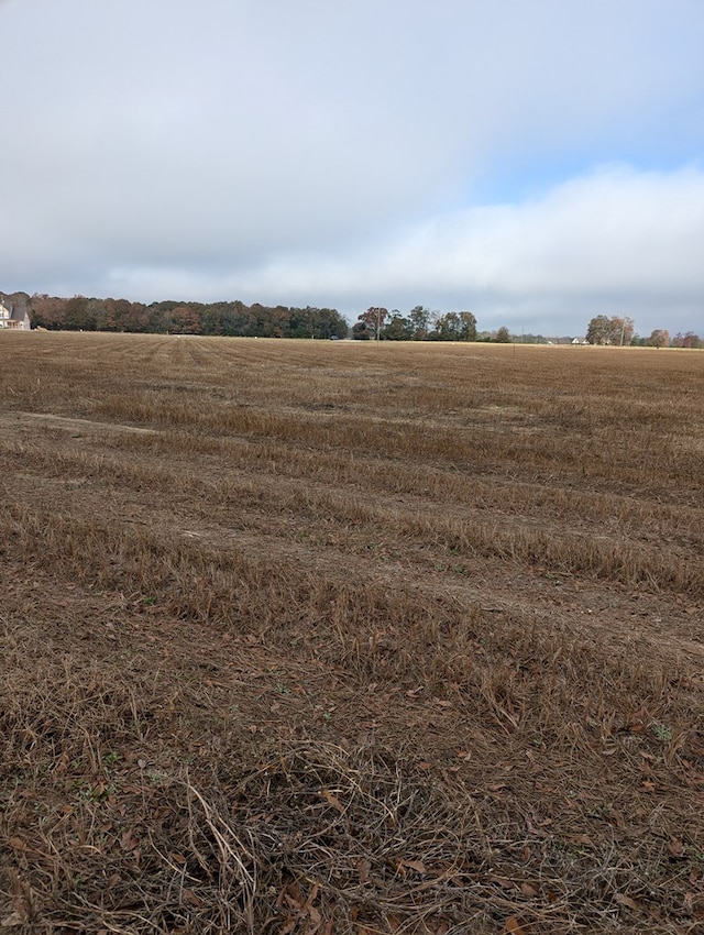 0 County Road 9, Headland, AL 36345 - photo 7