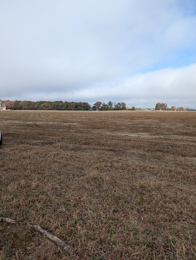 view of landscape with a rural view