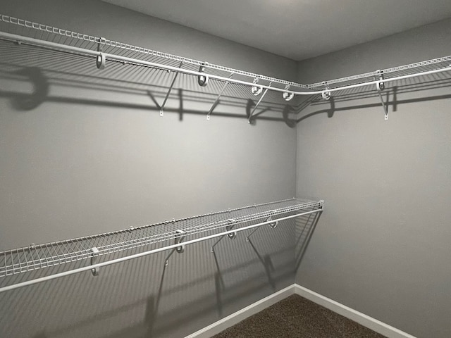 spacious closet featuring dark carpet