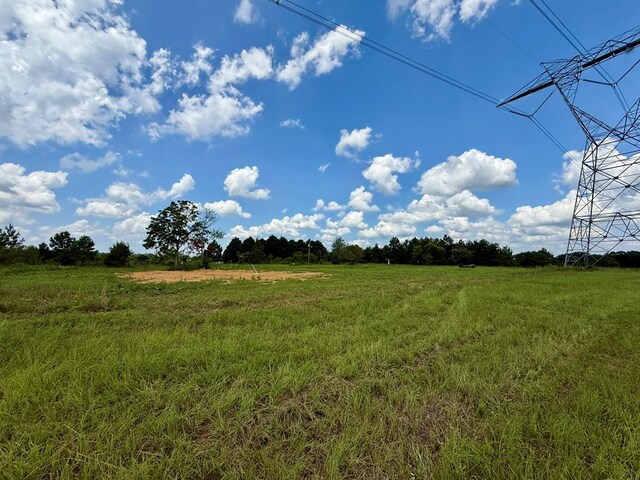 2379 County Road 73, Newville, AL 36353 - photo 13