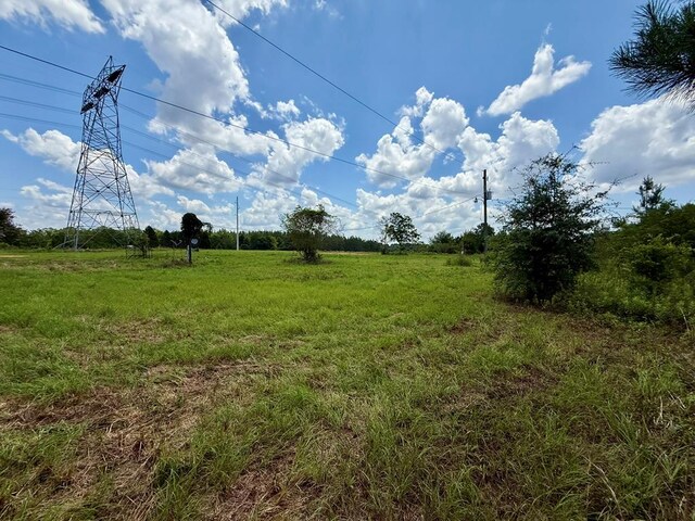2379 County Road 73, Newville, AL 36353 - photo 15