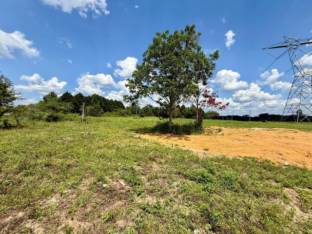 2379 County Road 73, Newville, AL 36353 - photo 10