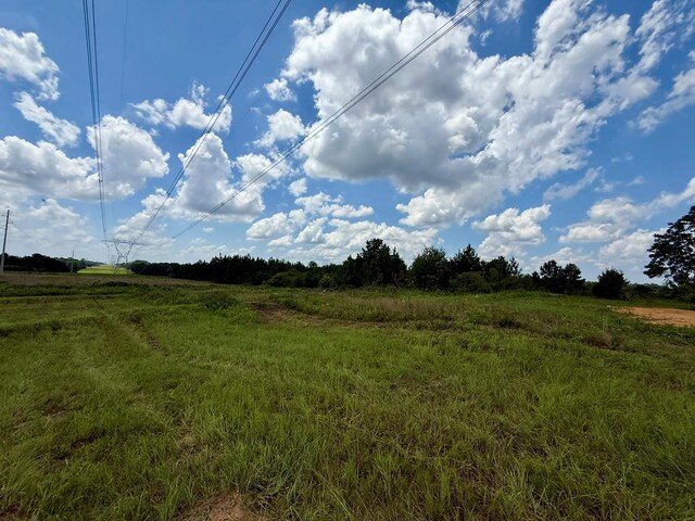 2379 County Road 73, Newville, AL 36353 - photo 14