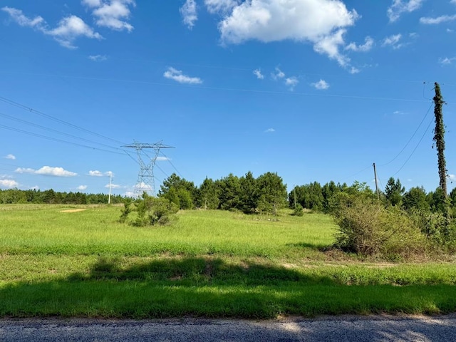 2379 County Road 73, Newville, AL 36353 - photo 2