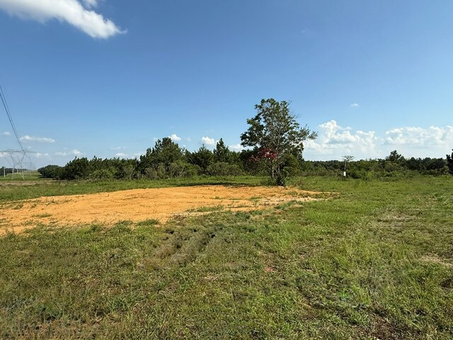 2379 County Road 73, Newville, AL 36353 - photo 7