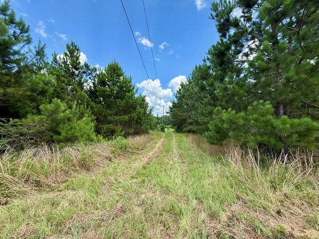 2379 County Road 73, Newville, AL 36353 - photo 12