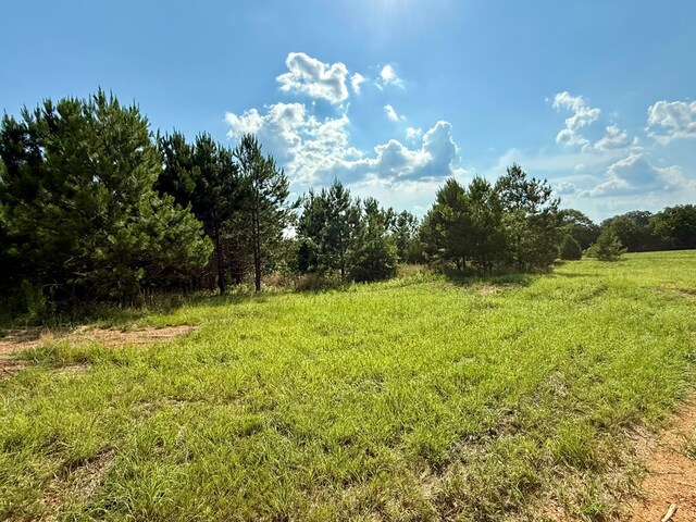 2379 County Road 73, Newville, AL 36353 - photo 3