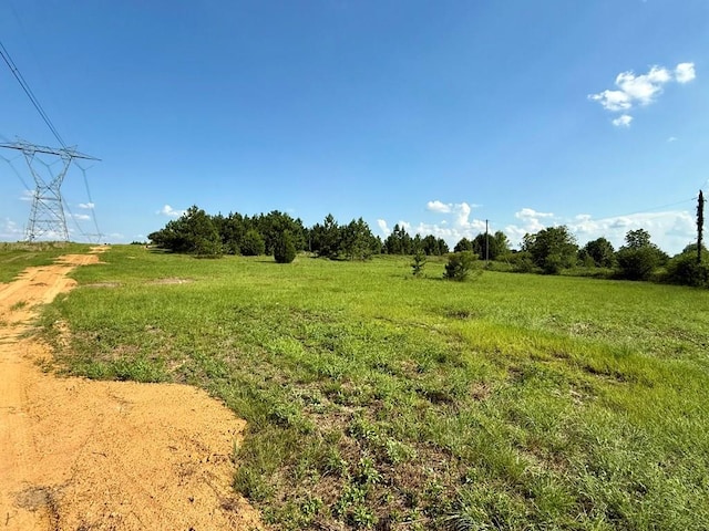 2379 County Road 73, Newville, AL 36353 - photo 1