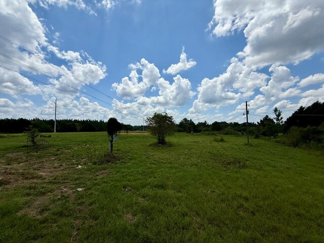 2379 County Road 73, Newville, AL 36353 - photo 11