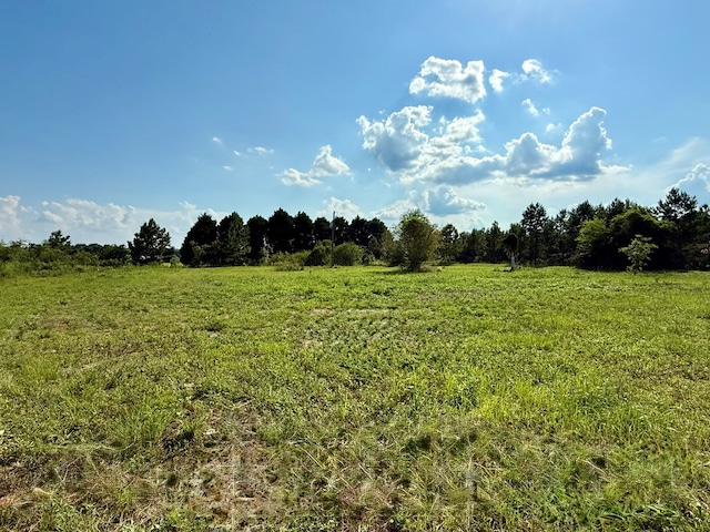2379 County Road 73, Newville, AL 36353 - photo 5