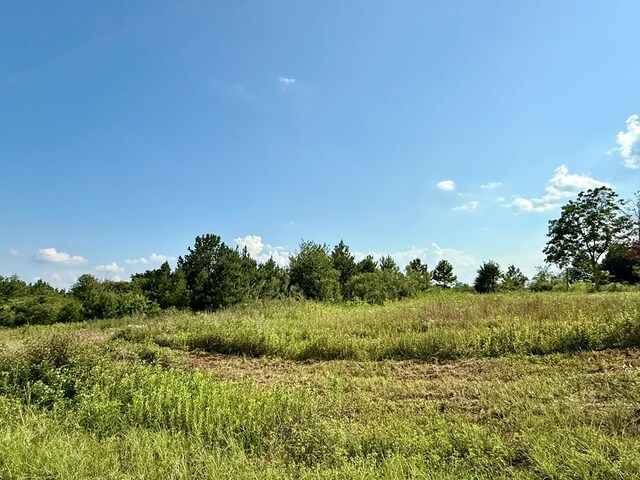 2379 County Road 73, Newville, AL 36353 - photo 6