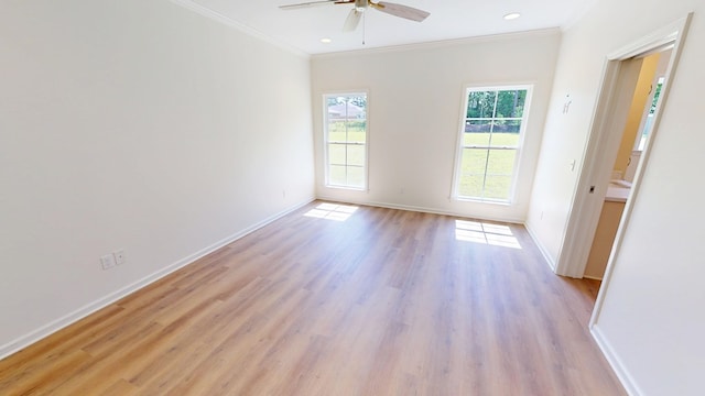 205 Courtland Dr, Dothan, AL 36301 - photo 10