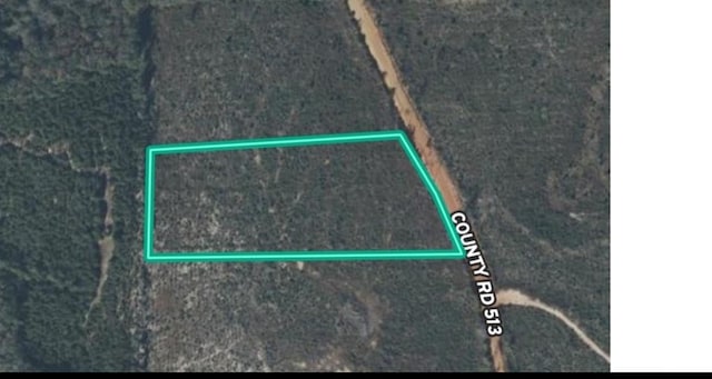 1554 County Rd 513, Elba, AL 36323 - photo 1