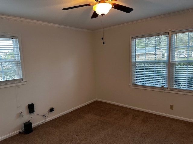 spare room featuring ceiling fan, carpet, and ornamental molding