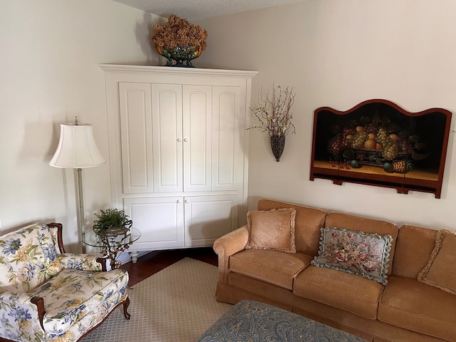 210 Petersburg Ct, Dothan, AL 36301 - living room featuring dark wood-style flooring