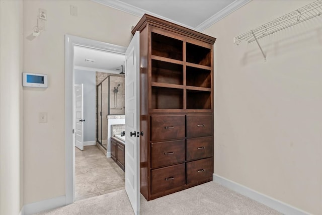 125 Hayley Dr, Enterprise, AL 36330 - view of spacious closet