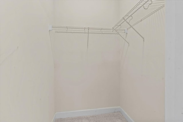 125 Hayley Dr, Enterprise, AL 36330 - walk in closet featuring carpet flooring
