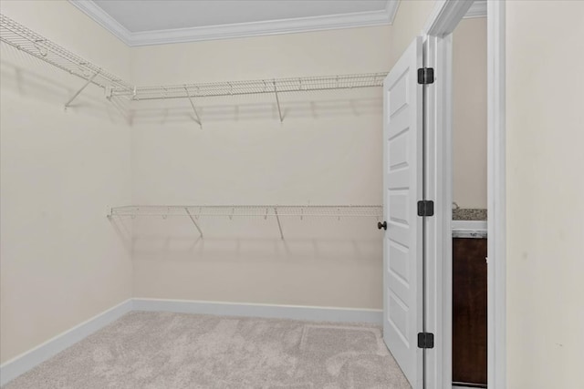 125 Hayley Dr, Enterprise, AL 36330 - spacious closet featuring carpet