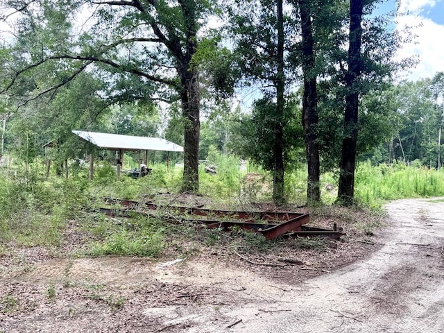 350 Forest Hill Cemetary, Geneva, AL 36340