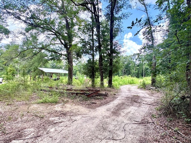 350 Forest Hill Cemetary, Geneva, AL 36340