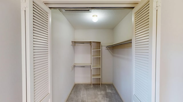 spacious closet with carpet