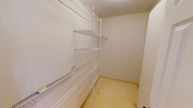 spacious closet featuring carpet