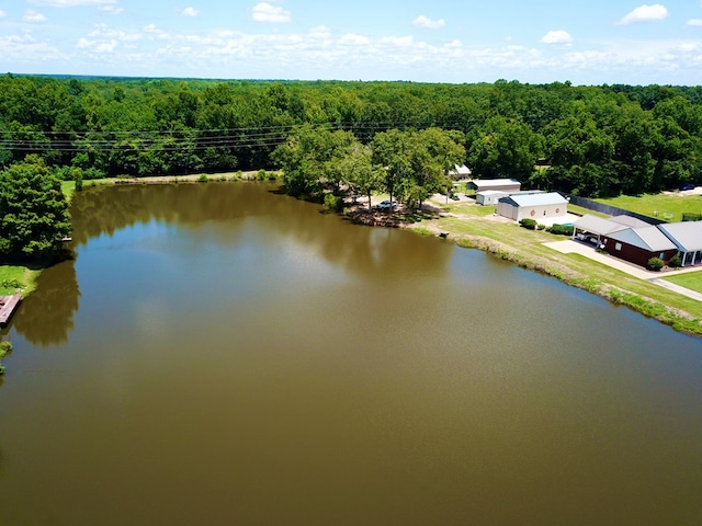 588 W Lawrence Harris Hwy, Slocomb, AL 36375 - photo 19