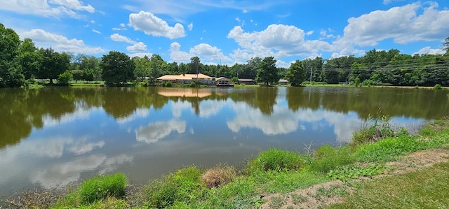588 W Lawrence Harris Hwy, Slocomb, AL 36375 - photo 89