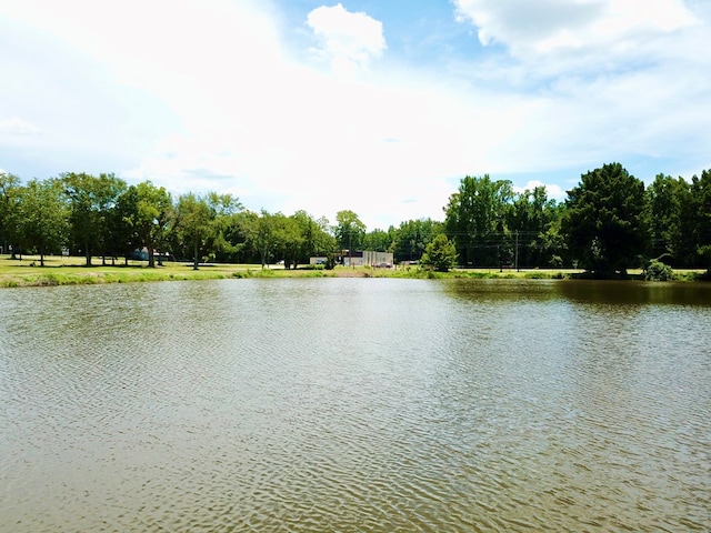 588 W Lawrence Harris Hwy, Slocomb, AL 36375 - photo 10