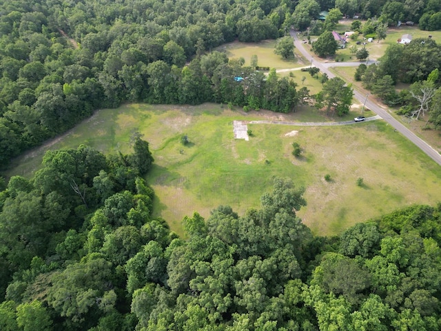1160 Frank Marshall Rd, Ozark, AL 36360