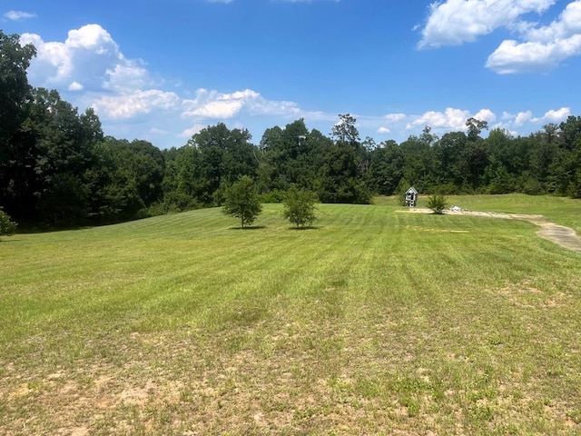 1160 Frank Marshall Rd, Ozark AL, 36360 land for sale