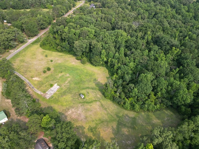 1160 Frank Marshall Rd, Ozark, AL 36360