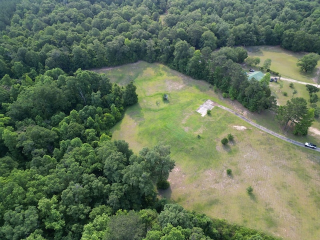 1160 Frank Marshall Rd, Ozark, AL 36360