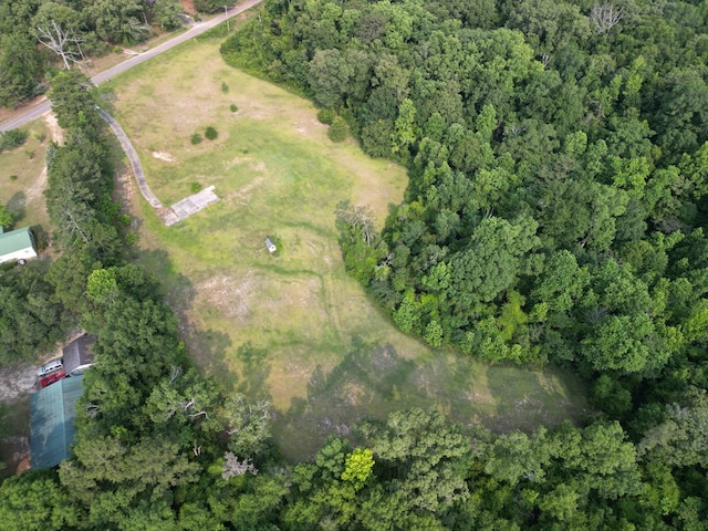 1160 Frank Marshall Rd, Ozark, AL 36360
