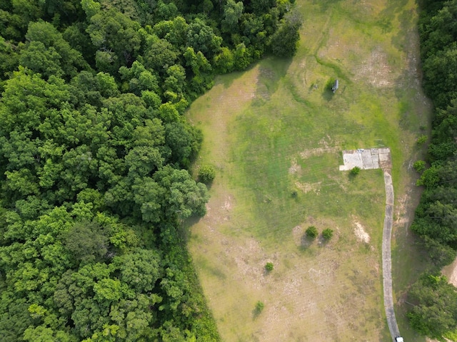 1160 Frank Marshall Rd, Ozark, AL 36360