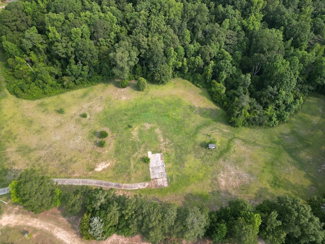 1160 Frank Marshall Rd, Ozark, AL 36360