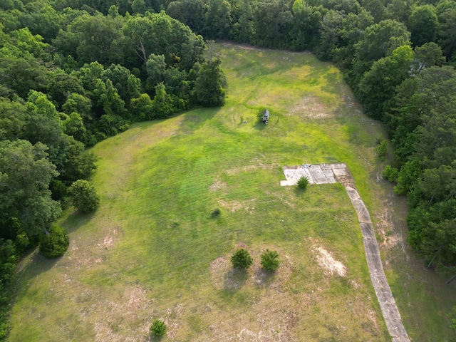 1160 Frank Marshall Rd, Ozark, AL 36360