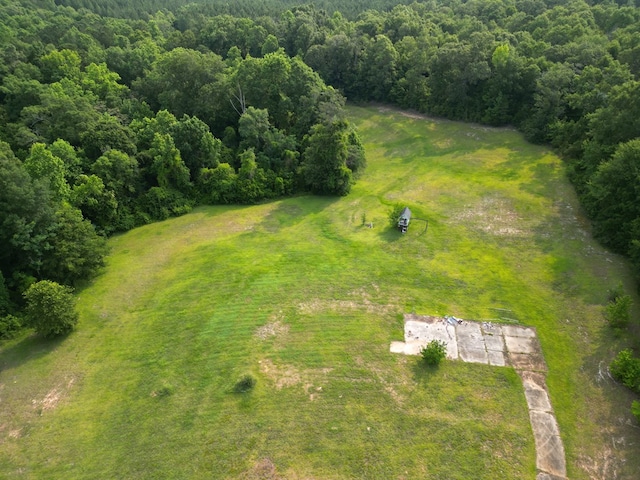 1160 Frank Marshall Rd, Ozark, AL 36360