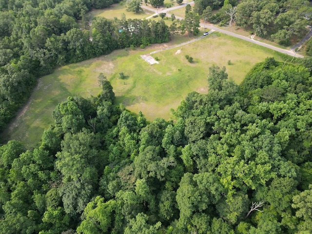 1160 Frank Marshall Rd, Ozark, AL 36360