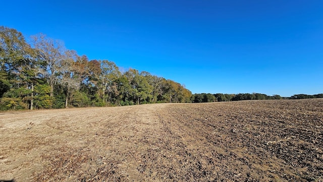 Listing photo 2 for 92ACRES County Road 5, Ozark AL 36360