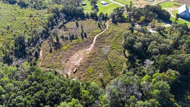 3518 Elamville St, Clio, AL 36017