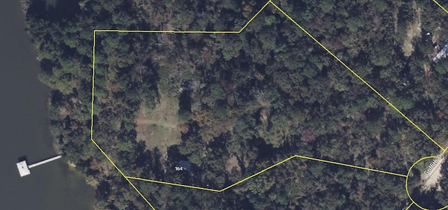 164 Griffith Dr, Ft Gaines, GA 39851 - photo 1