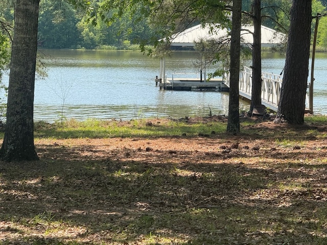 164 Griffith Dr, Ft Gaines, GA 39851 - photo 3