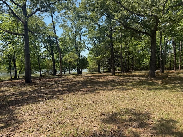 164 Griffith Dr, Ft Gaines, GA 39851 - photo 2