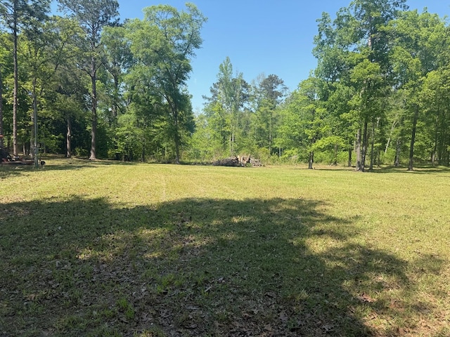 164 Griffith Dr, Ft Gaines, GA 39851 - photo 7